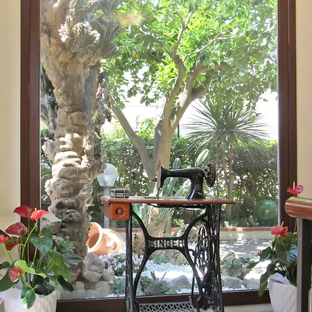 Florida 3* ソレント