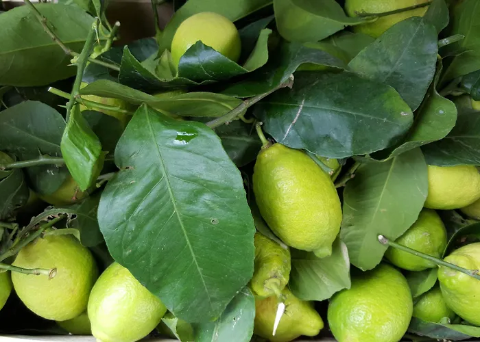 佛罗里达酒店 3*