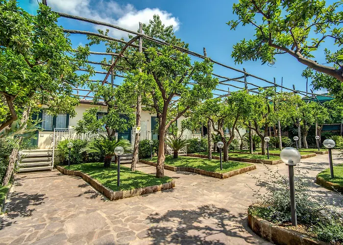 酒店 佛罗里达酒店