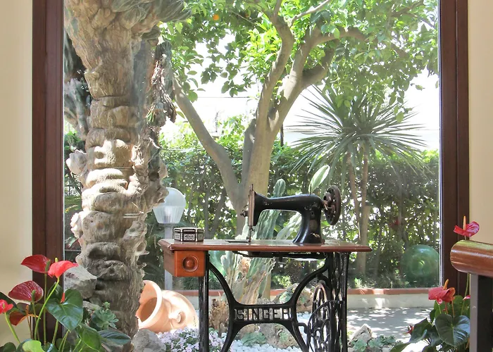 Florida 3* Σορέντο