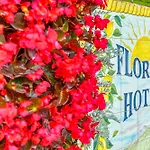 Hotel Florida 3*