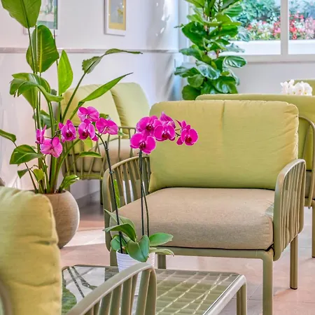 Florida Hotel Sorrente