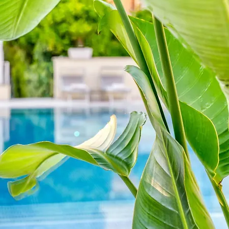 Ξενοδοχείο Florida Σορέντο