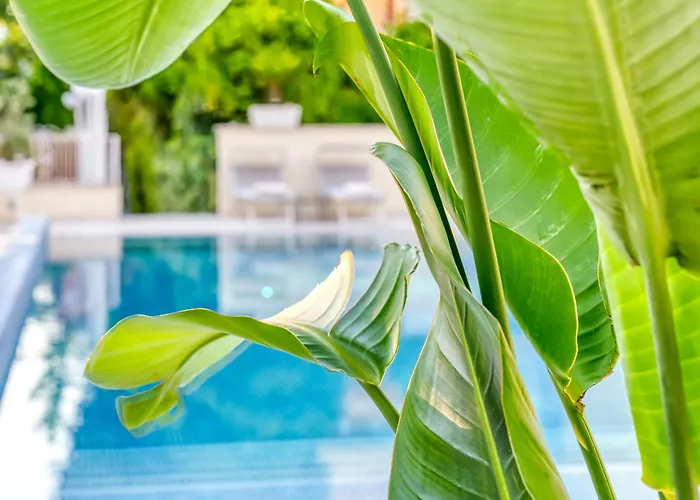 Ξενοδοχείο Florida Σορέντο